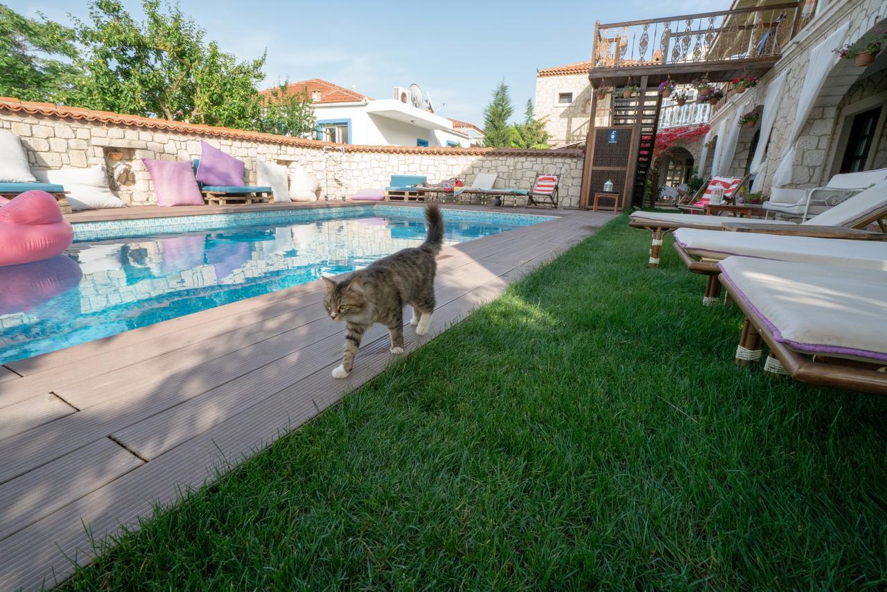 Nobela Hotel Αλακάτι Εξωτερικό φωτογραφία